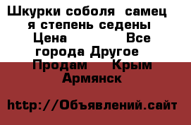 Шкурки соболя (самец) 1-я степень седены › Цена ­ 12 000 - Все города Другое » Продам   . Крым,Армянск